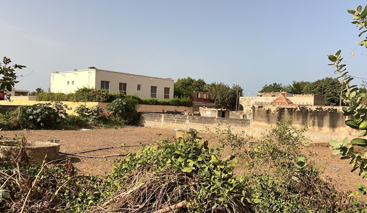 Terrain de 700m2 à Saly 02