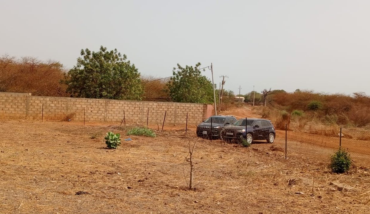 Terrains de 600m2 à Ngapaou 03