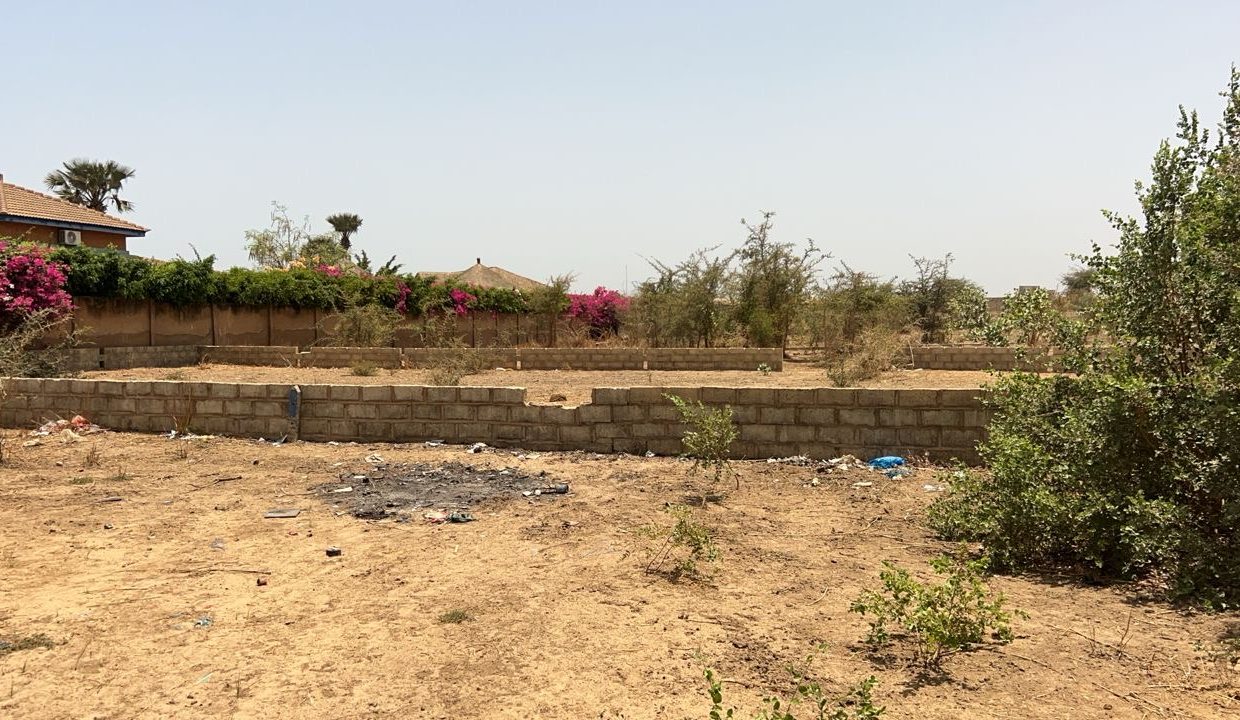 terrain 300m2 à Saly jos 02