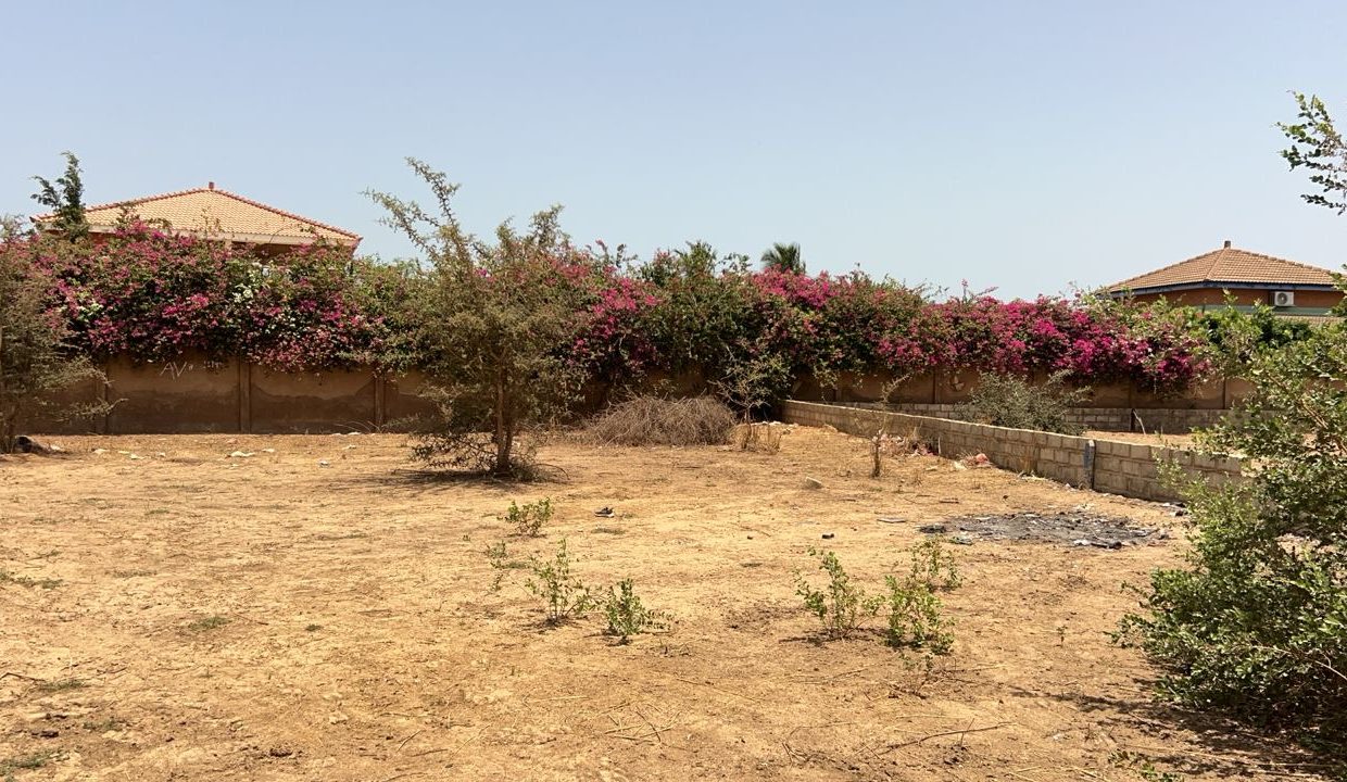 terrain 300m2 à Saly jos 03