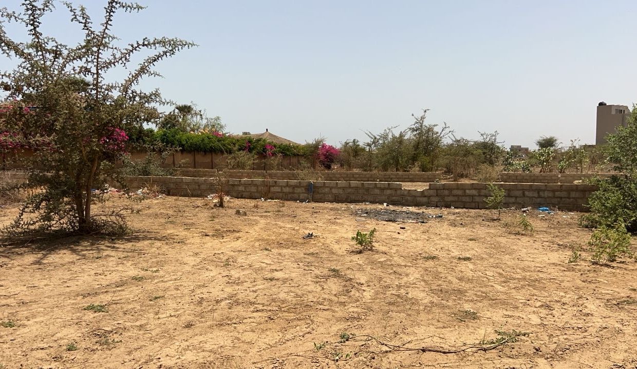 terrain 300m2 à Saly jos 04