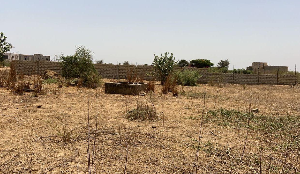 Terrain 1200m2 à saly joseph 02