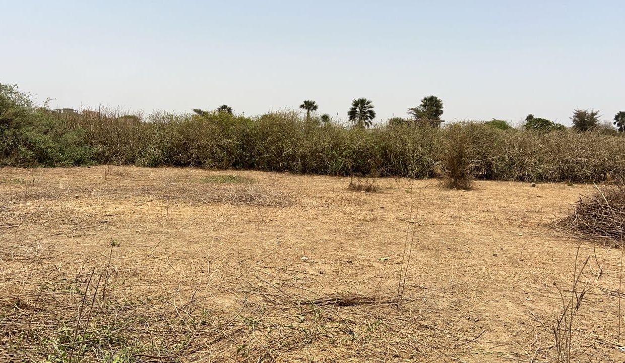 Terrain 1200m2 à saly joseph 03