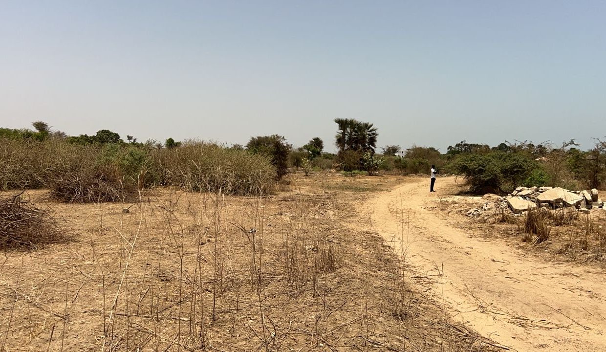 Terrain 1200m2 à saly joseph 04