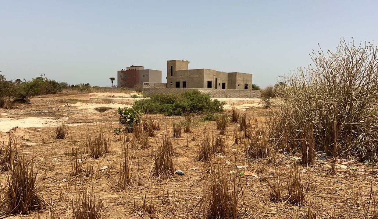 Terrain 1200m2 à saly joseph 05