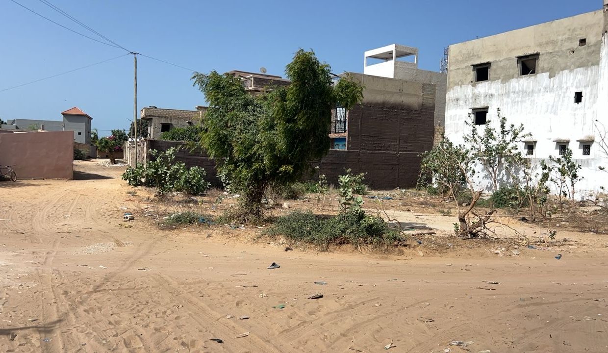 Terrain 300m2 à Saly mbambara 04