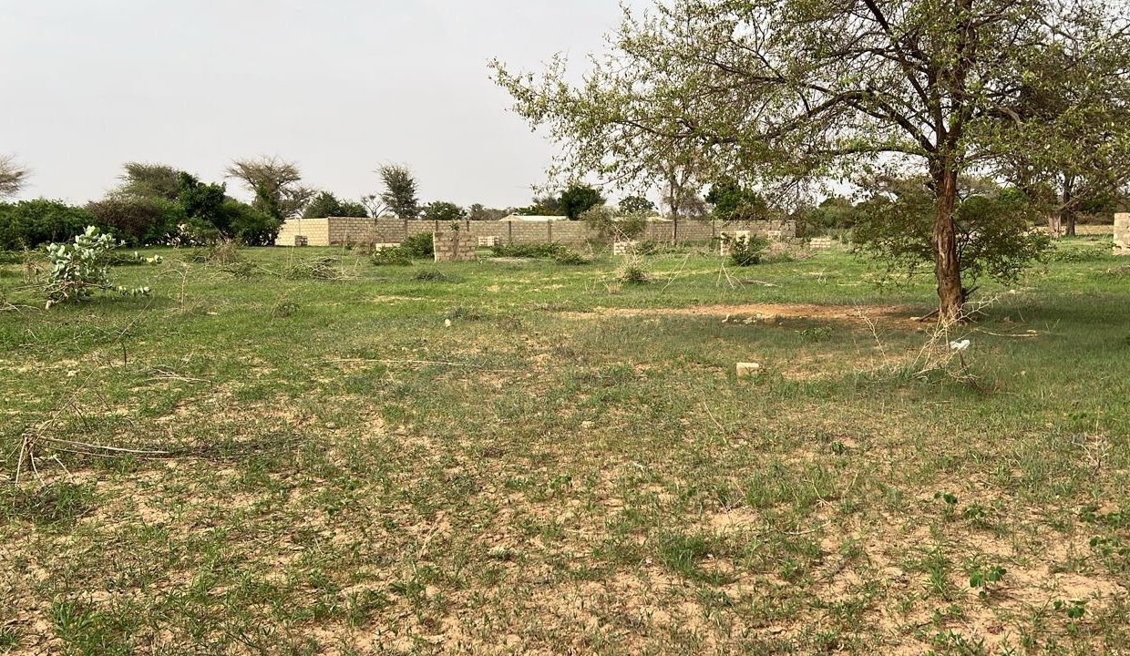 Terrain 600m2 à Malicounda KW 03