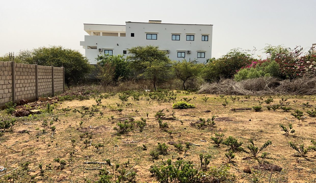 Terrain de 543m2 à Somone 03