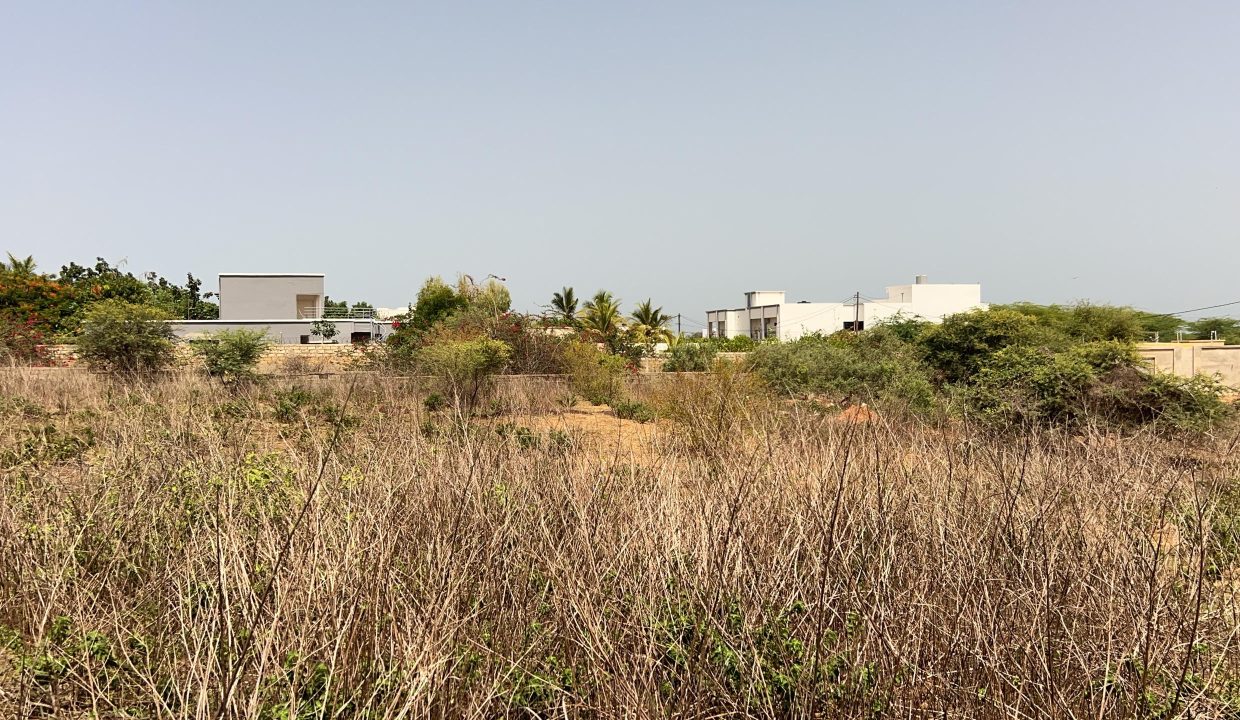 Terrain de 543m2 à Somone 04