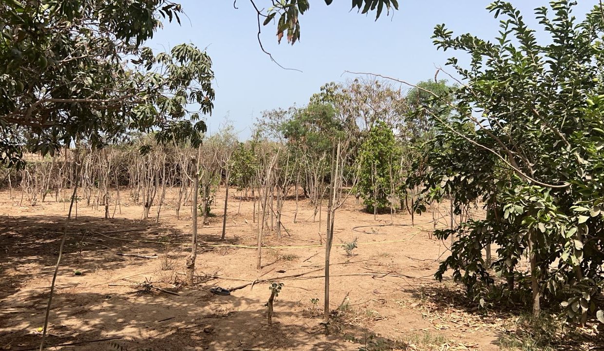 Terrains 600m2 à Saly jos 02