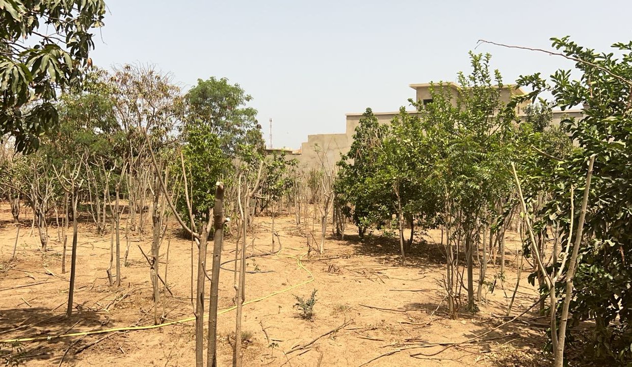 Terrains 600m2 à Saly jos 04