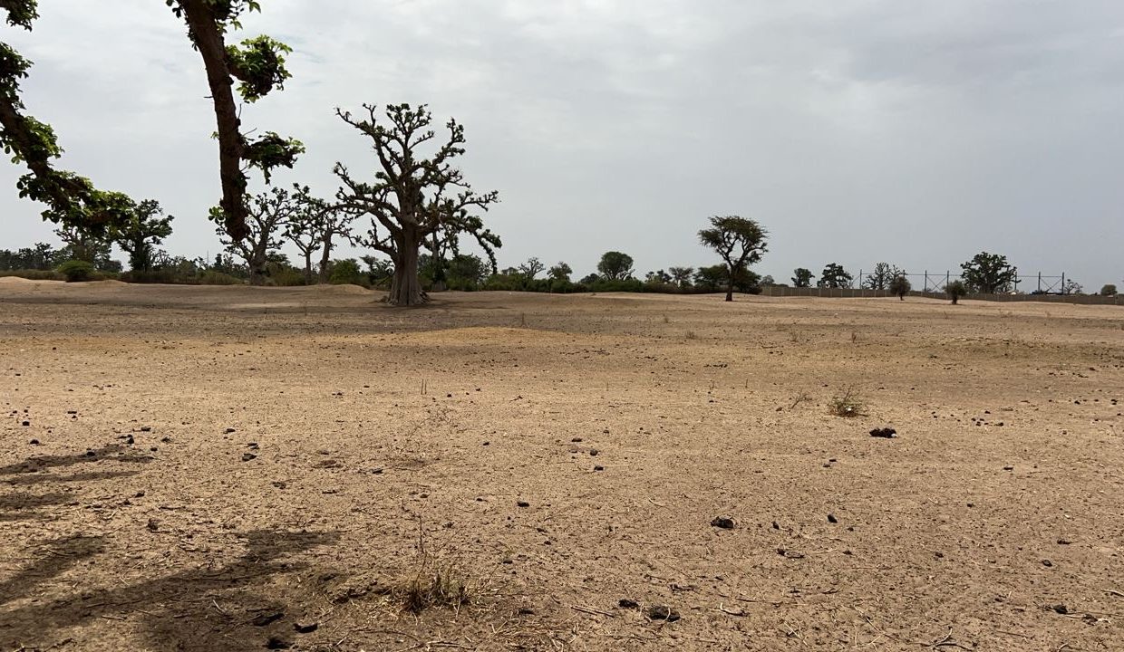 Terrains agri 2hect à louly koro 02