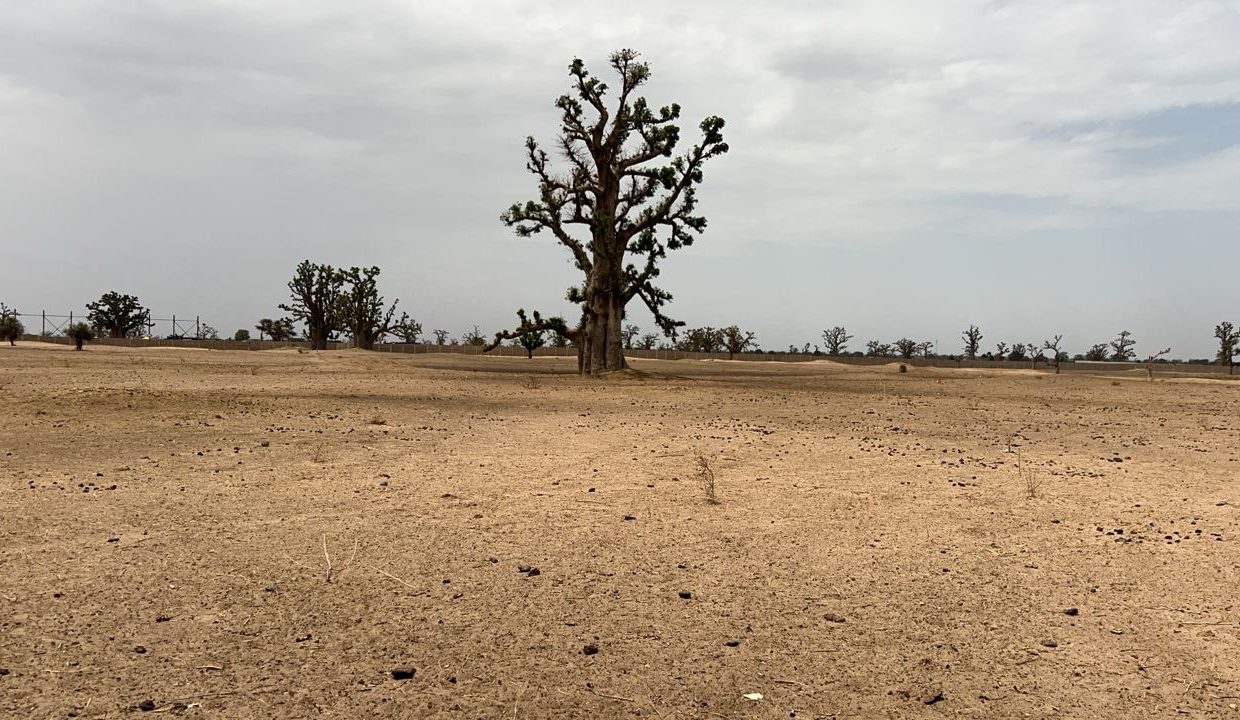 Terrains agri 2hect à louly koro 03