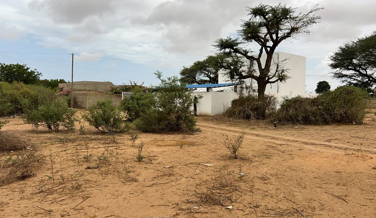 Terrains de 225m2 à Saly 02