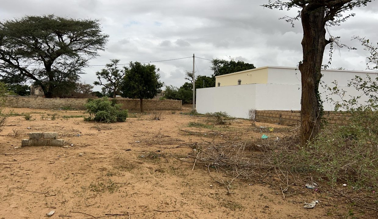 Terrains de 225m2 à Saly 05