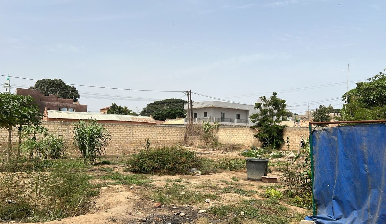 Terrains de 300m2 à mbour 02