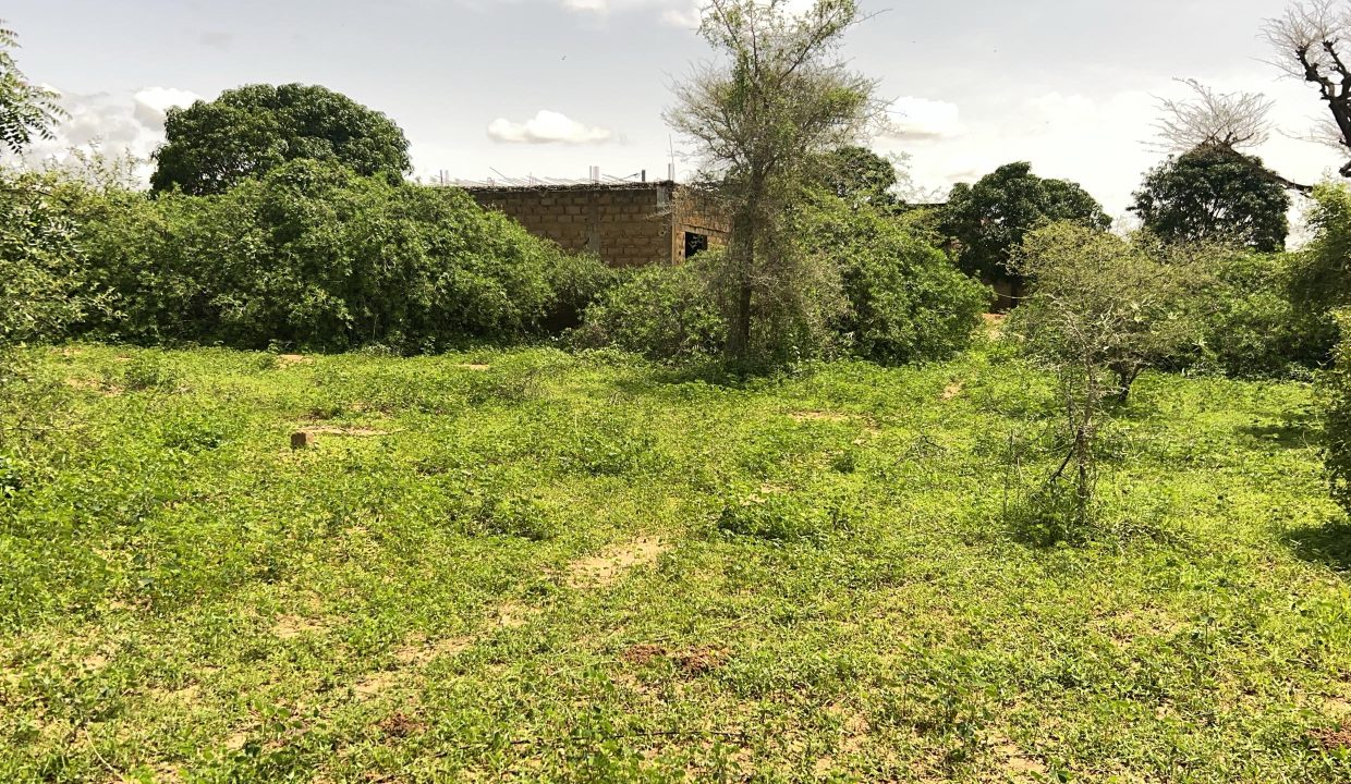 Terrain 225m2 à Gandigal 02
