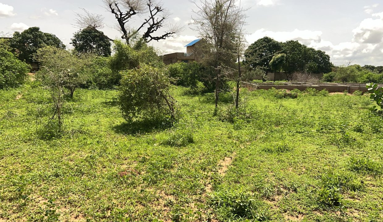Terrain 225m2 à Gandigal 03