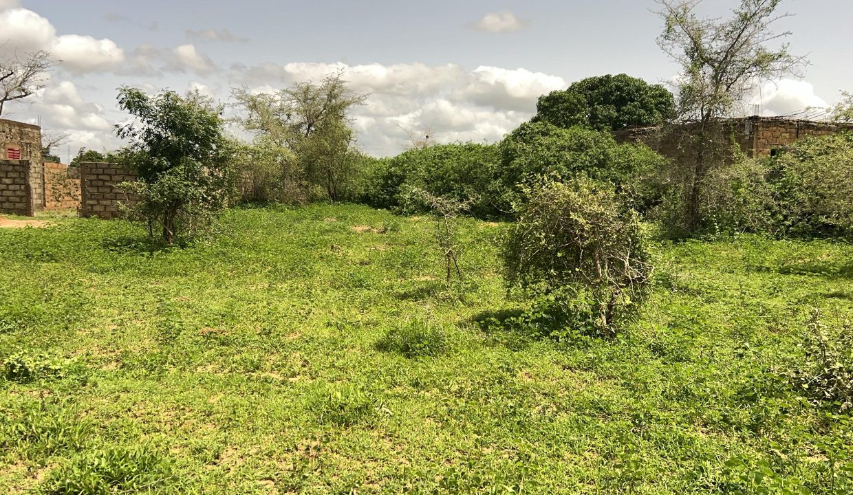 Terrain 225m2 à Gandigal 04