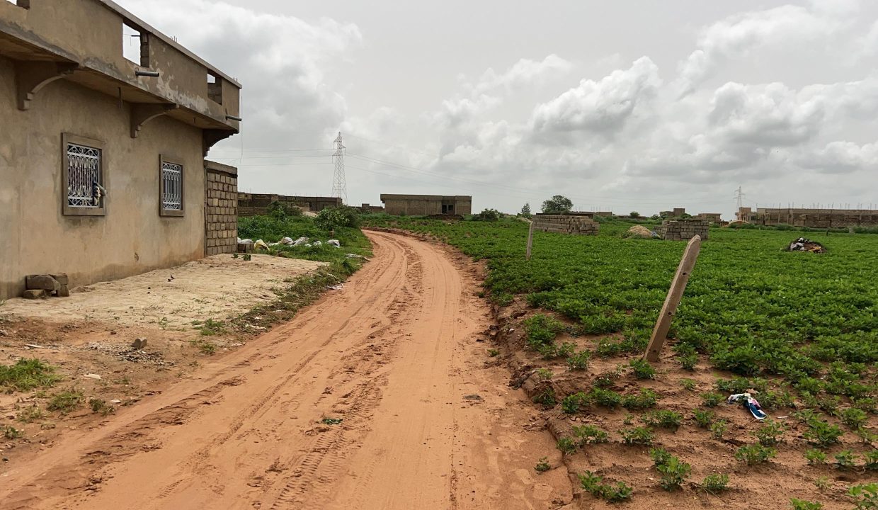 Terrain 229m2 à Nguékhokh 02