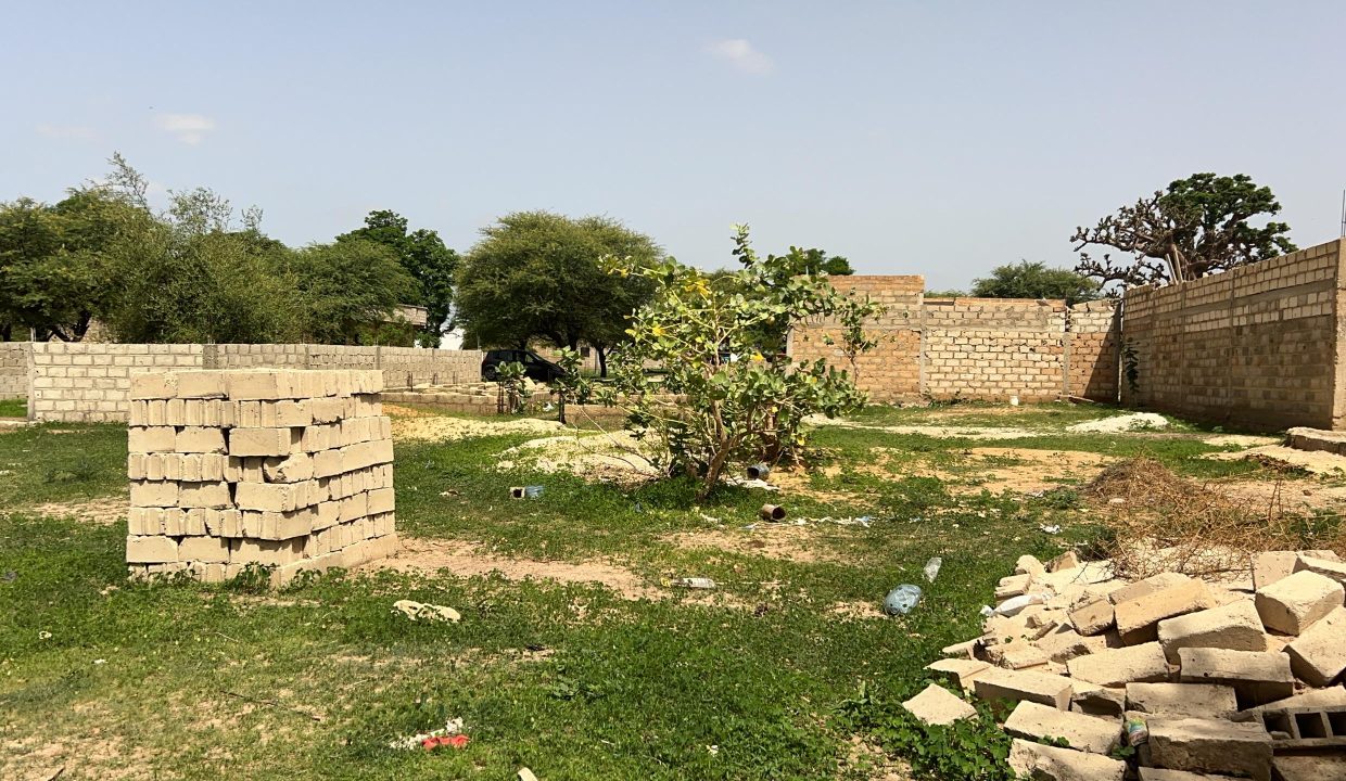Terrain 275m2 à Folokh 02