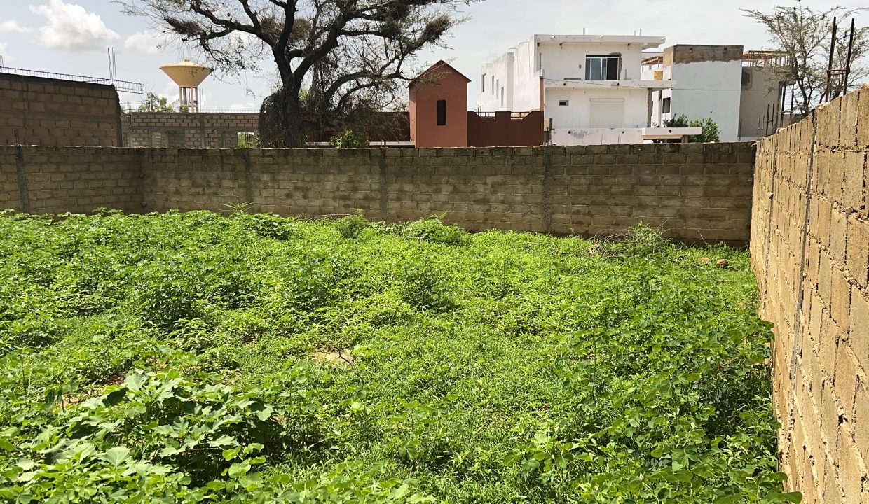 Terrain 450m2 à Gandigal 02