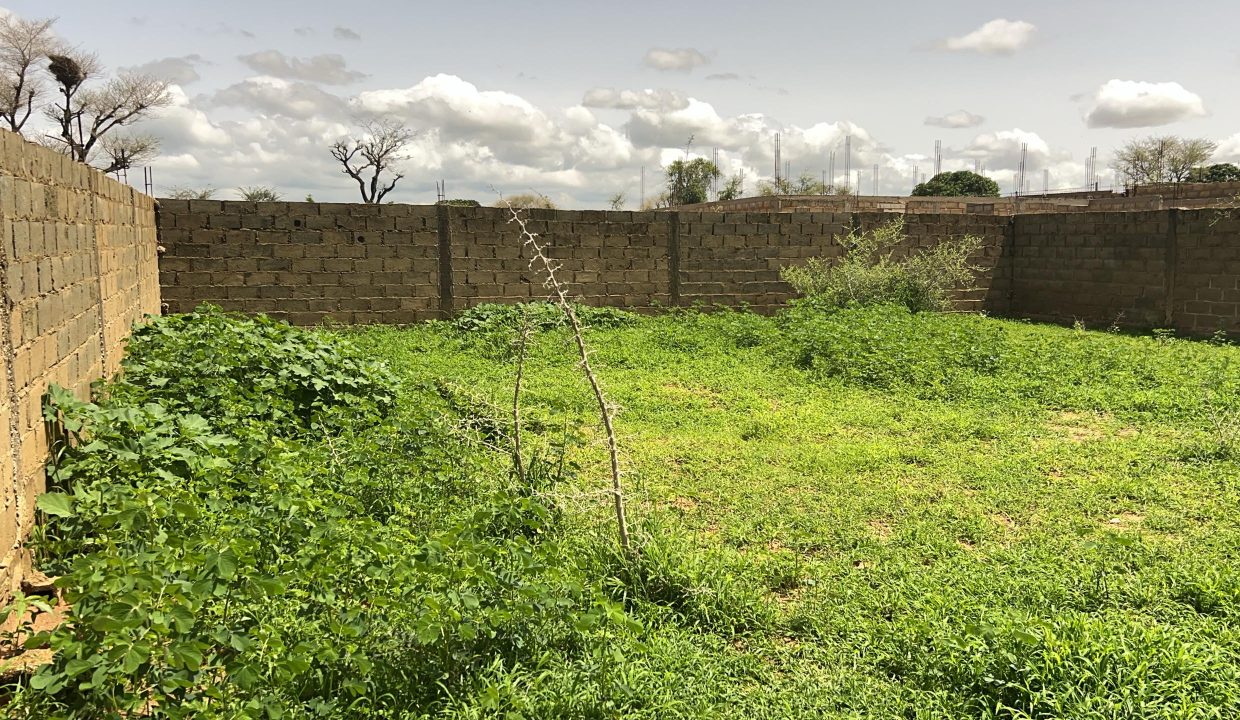 Terrain 450m2 à Gandigal 03