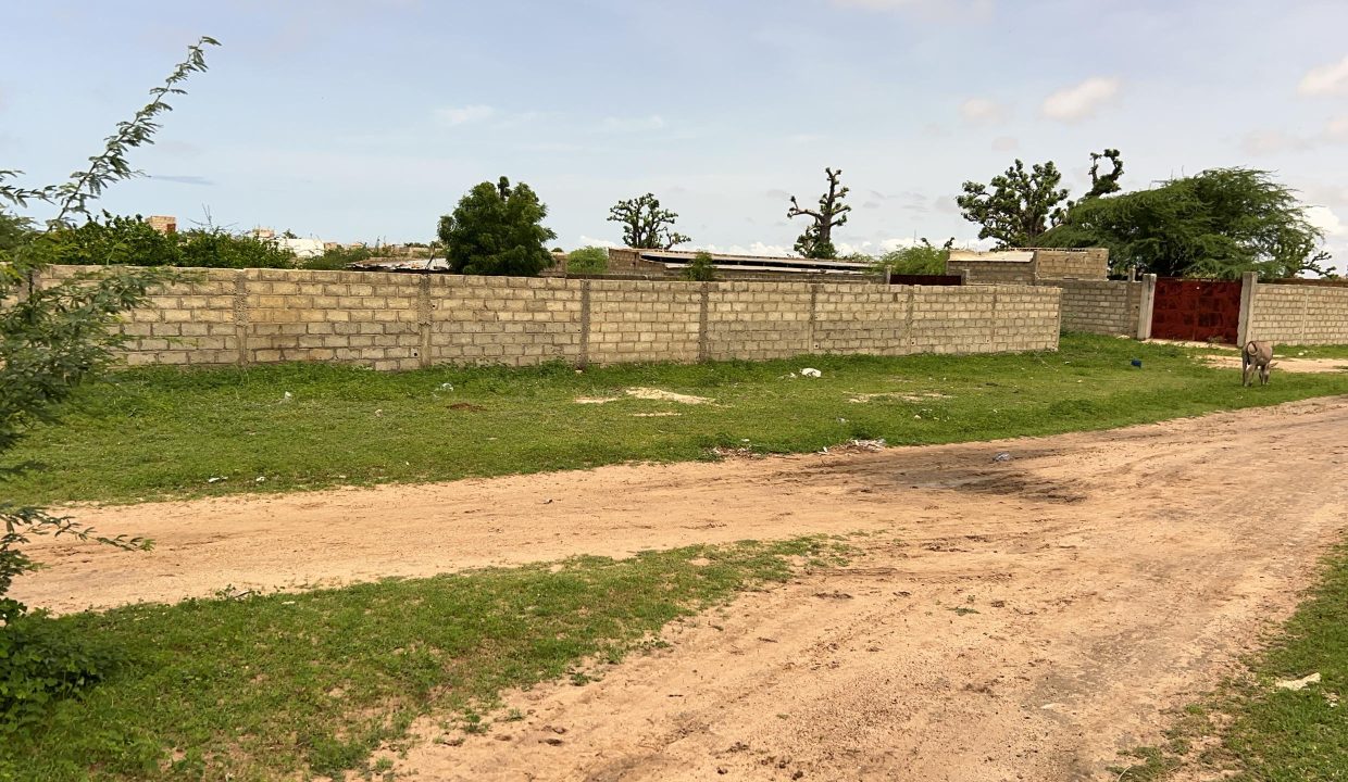Terrain 500m2 à mb sinthiou mbadane 05