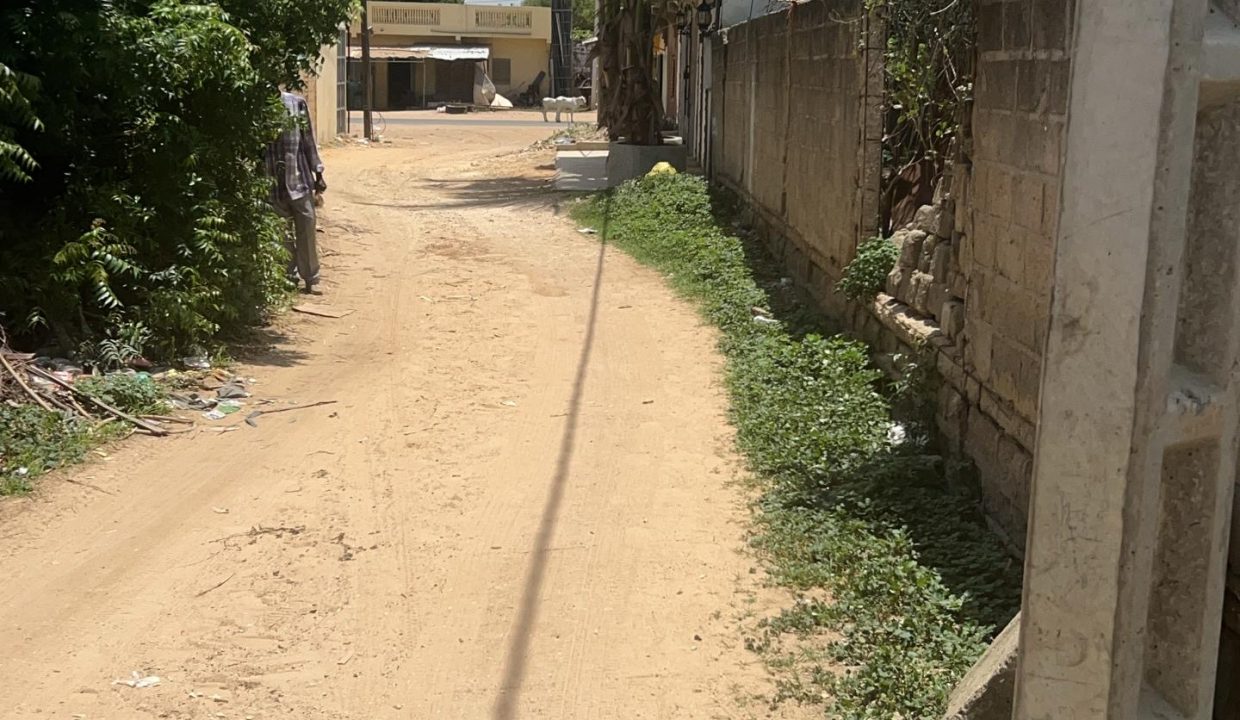 Terrain 555m2 à Saly niakh 02