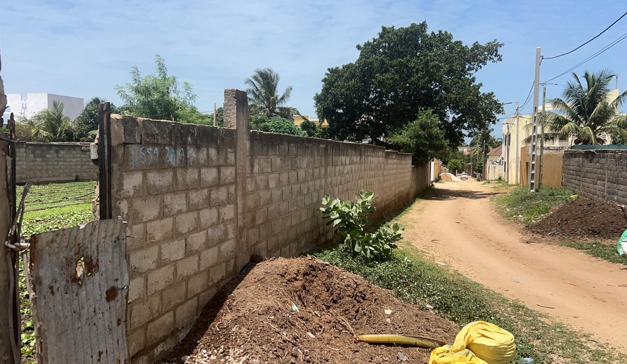 Terrain 555m2 à Saly niakh 04