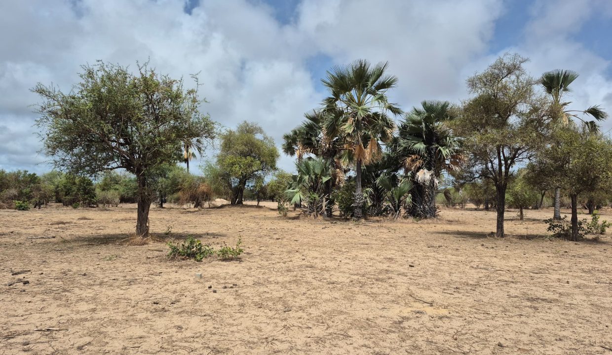 Terrain 600m2 à Ndangane 02