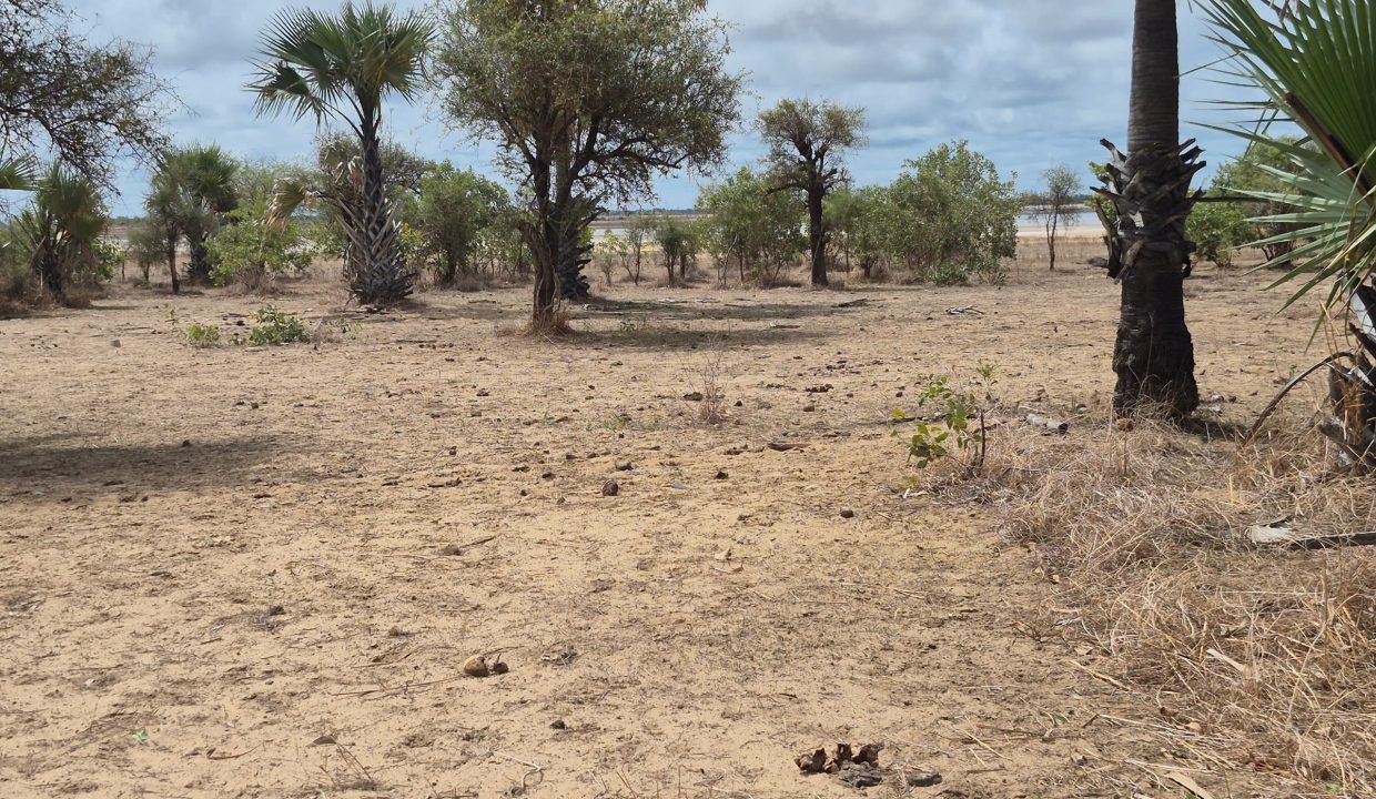 Terrain 600m2 à Ndangane 03