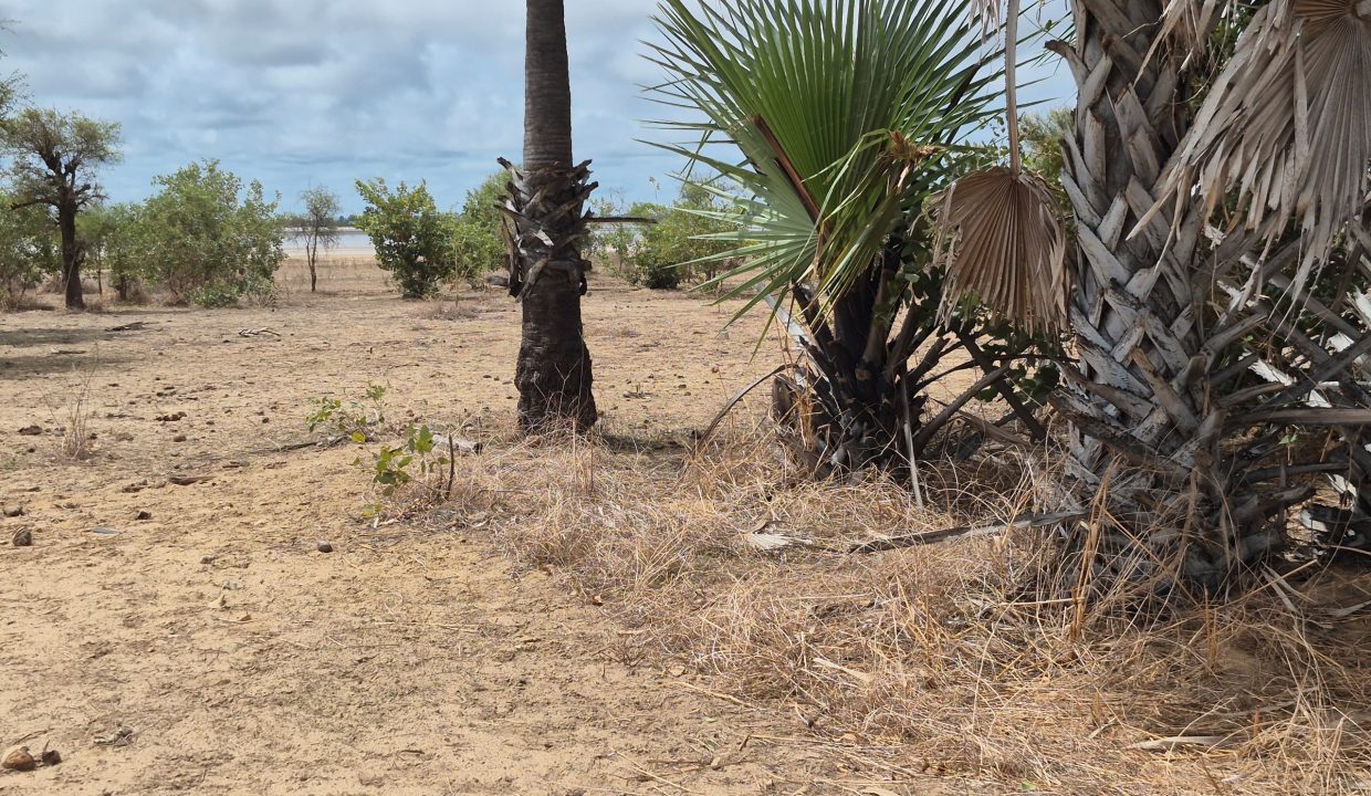 Terrain 600m2 à Ndangane 05