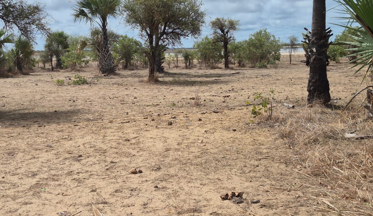 Terrain 600m2 à Ndangane 06