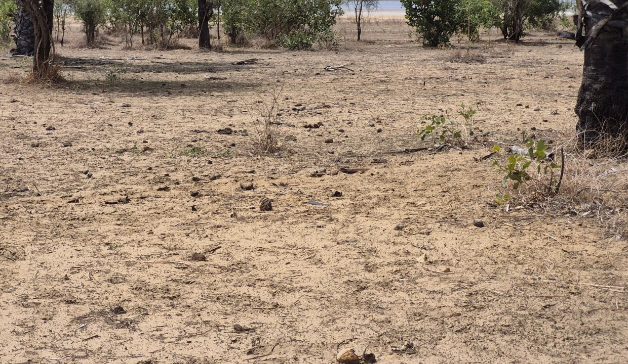 Terrain 600m2 à Ndangane 07