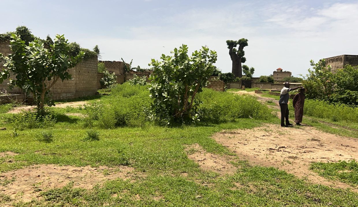 Terrain 225 mètres carrés à vendre à Gandigal, Sénégal 1