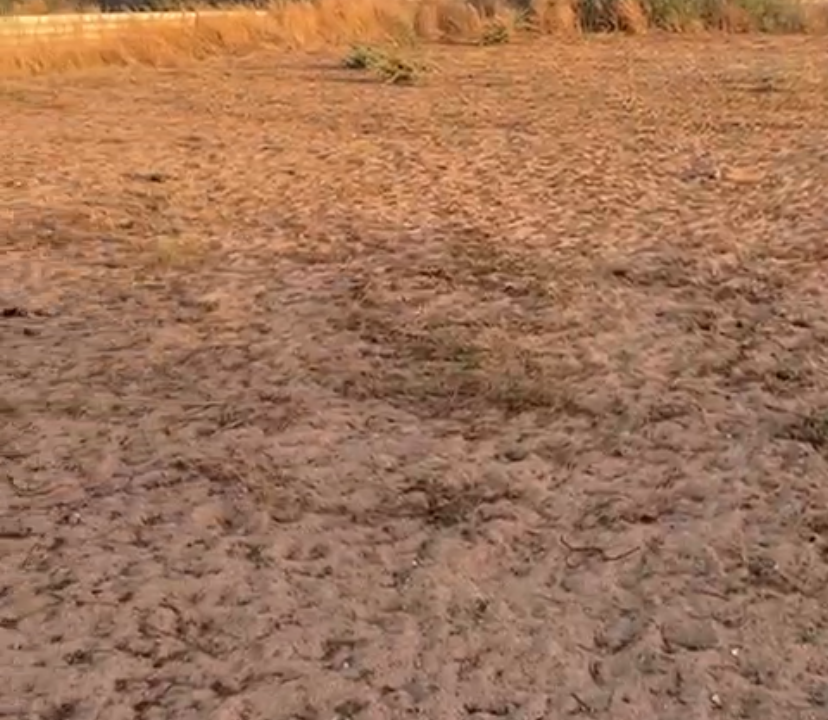 Terrains 2000m2 à Nguérigne 03
