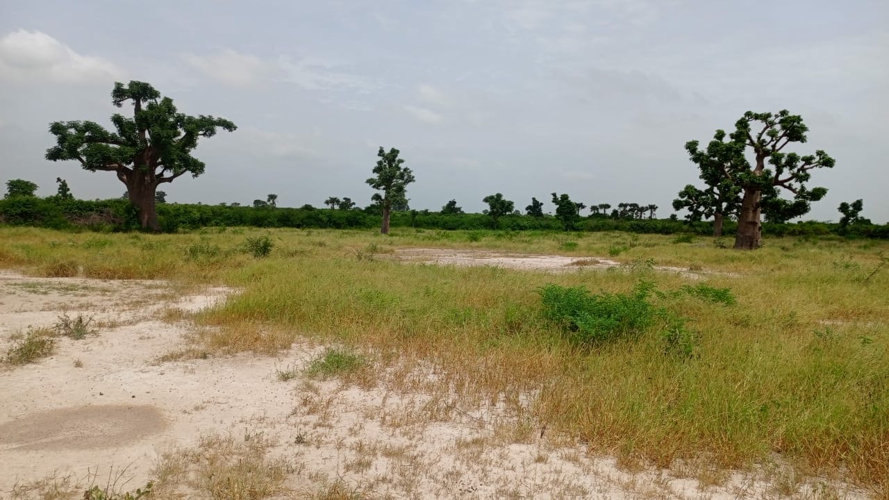 Terrains de 200 mètres carrés à vendre à Thiès Sénégal