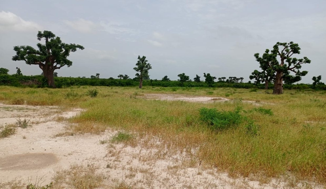 Terrains 200m2 à Thiès 01