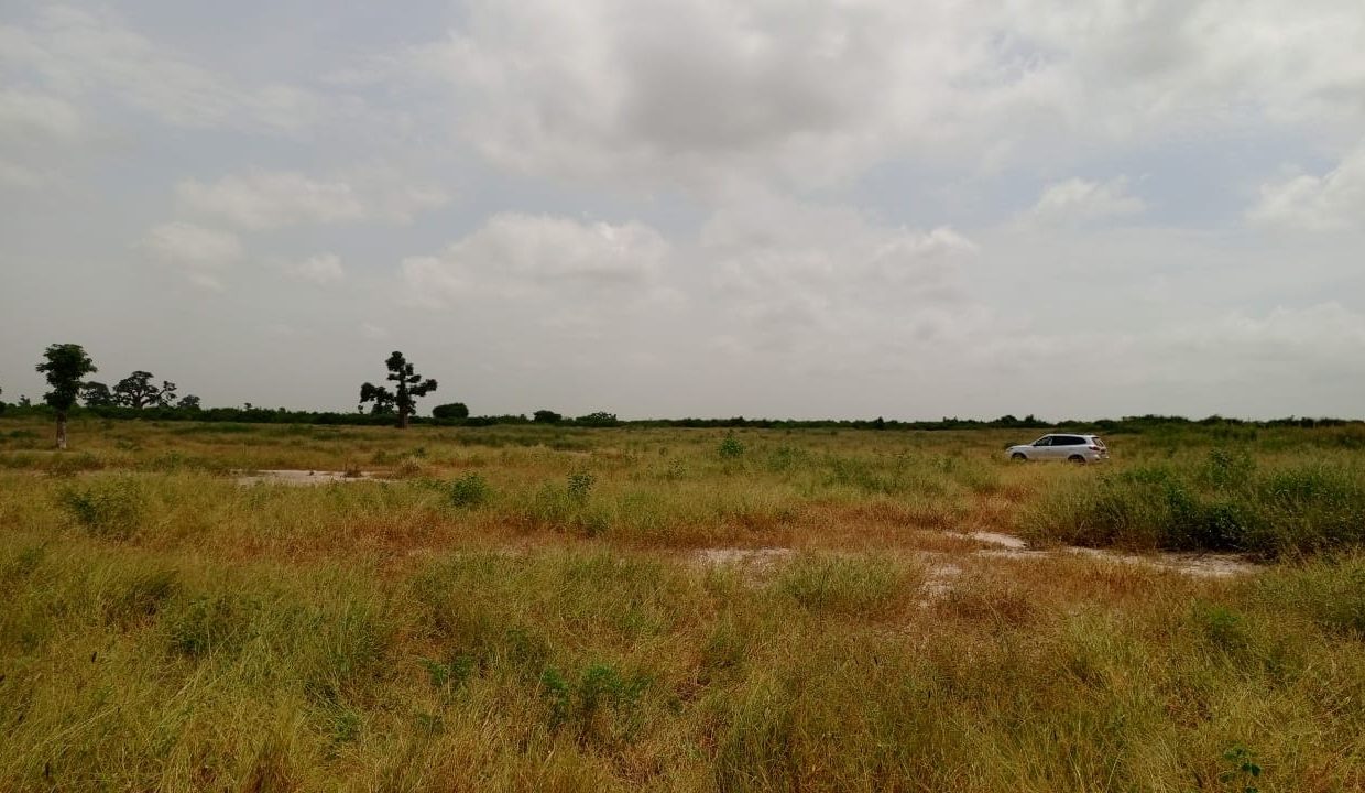 Terrains 200m2 à Thiès 02