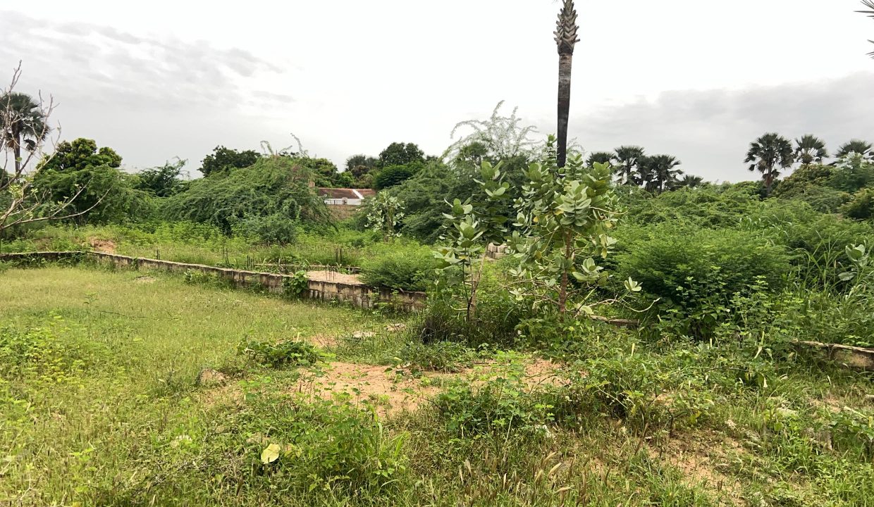 Terrain 1200m2 à Saly Jo 02