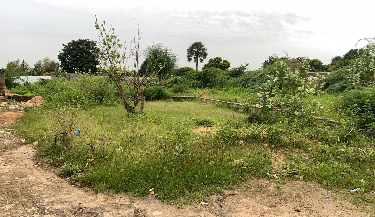 Terrain 1200m2 à Saly Jo 04