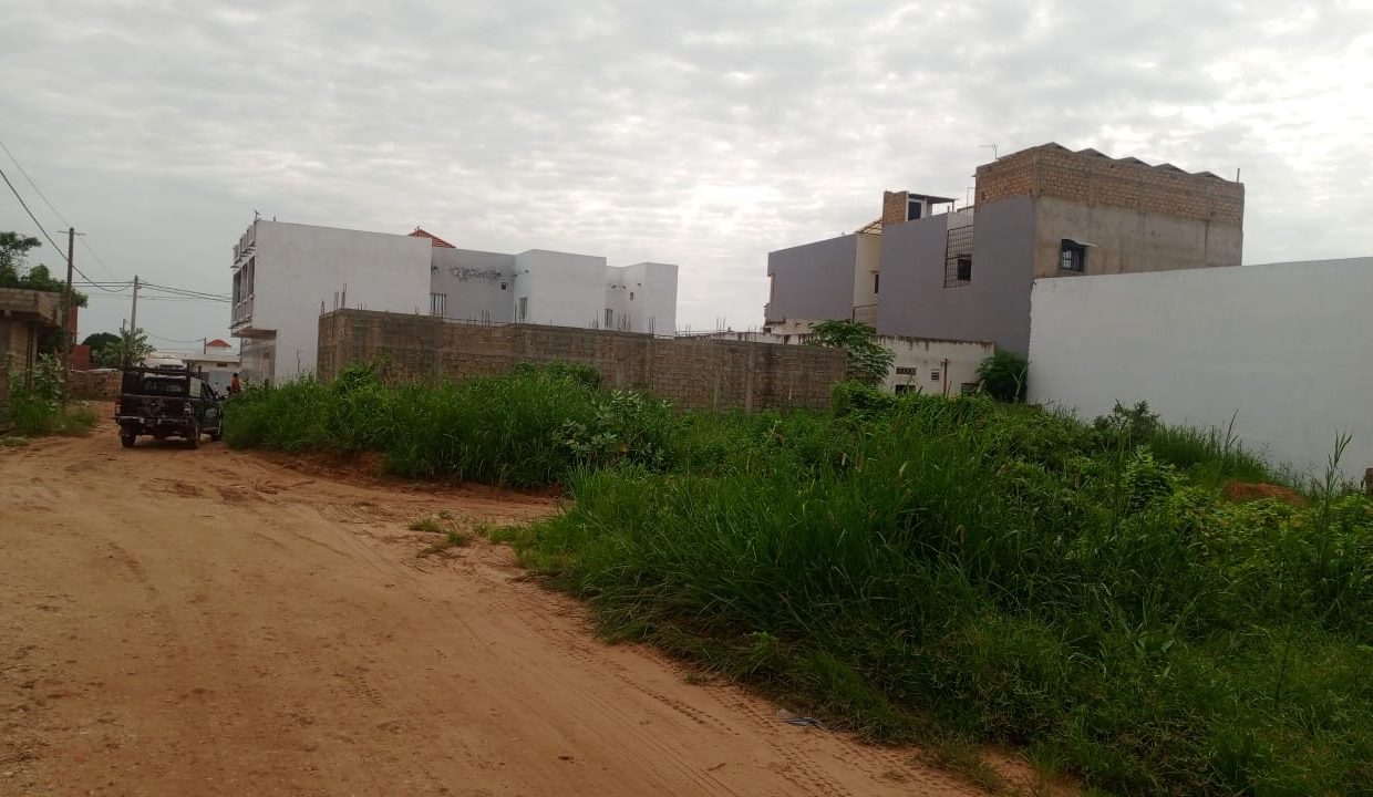 Terrain 300m2 à Saly 03