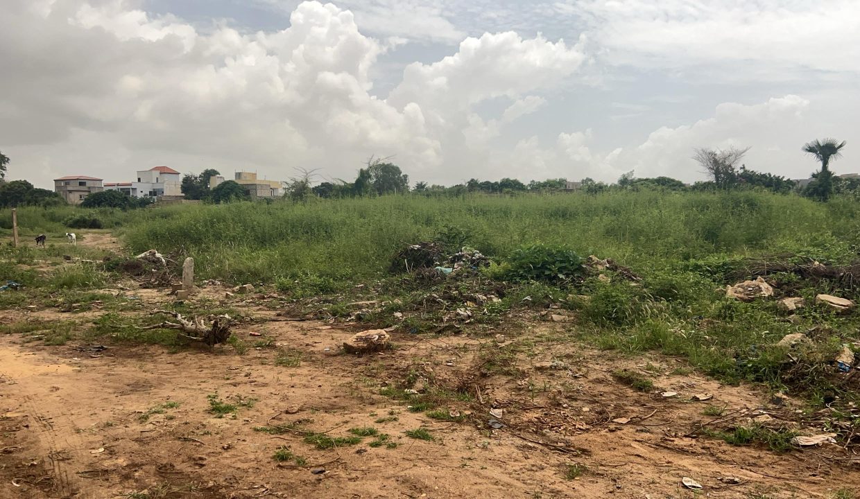 Terrain 600m2 à Saly 02