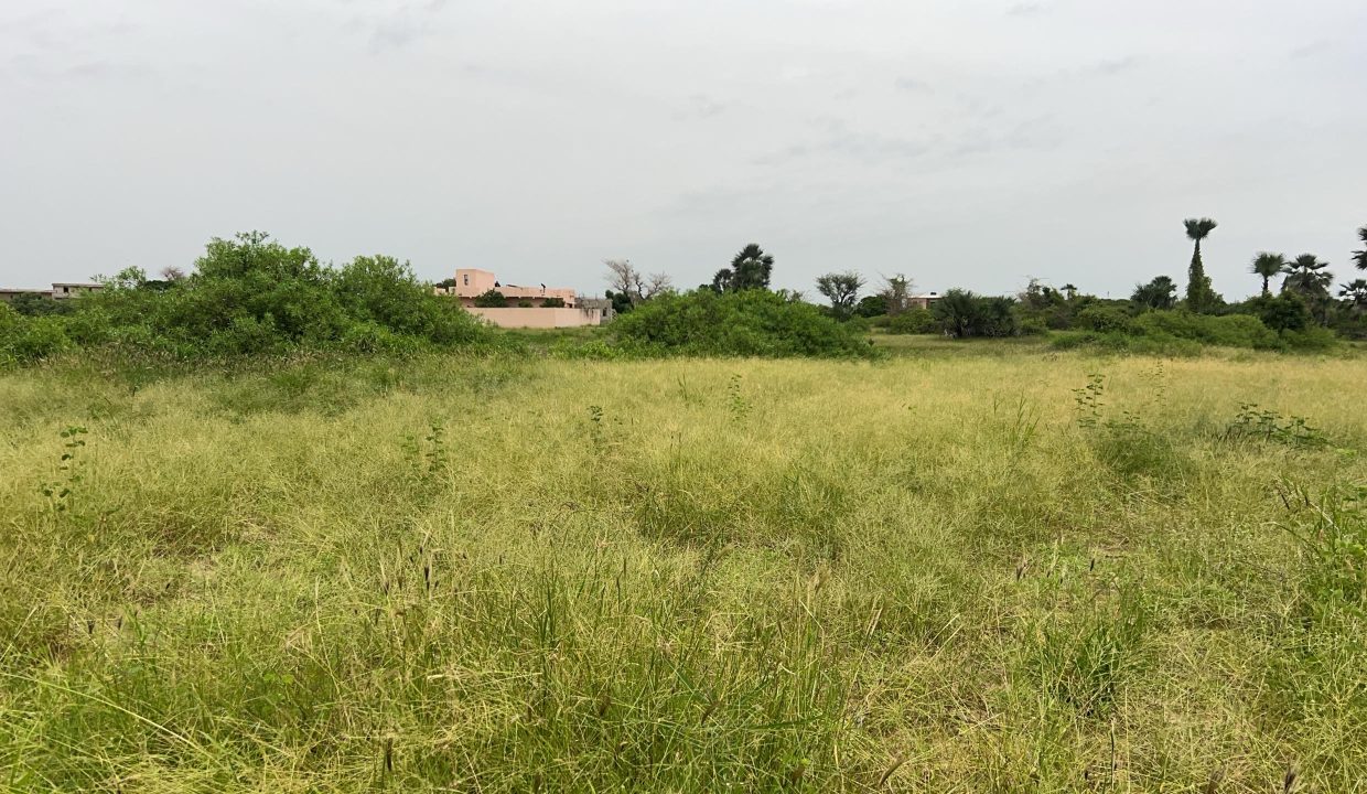 Terrain à Saly Jos 02