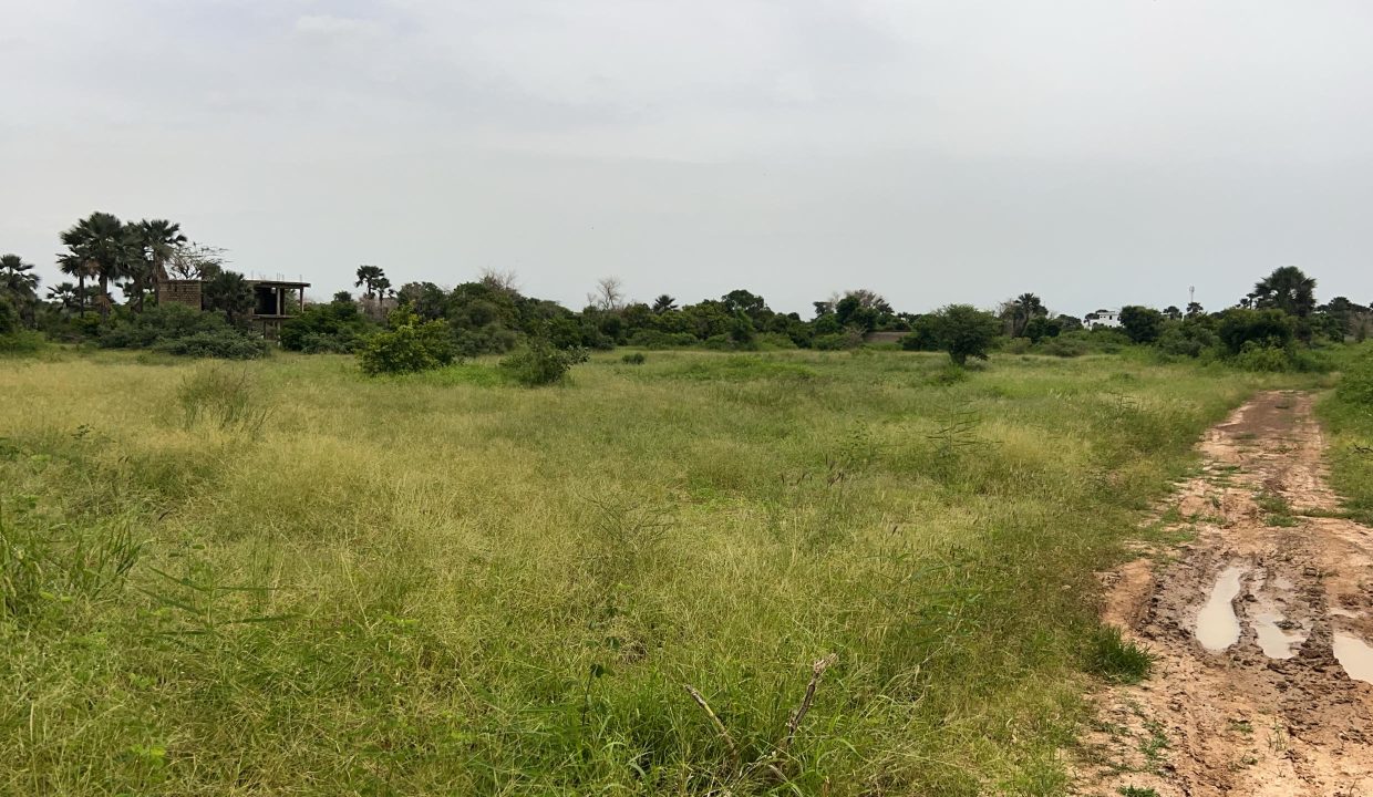 Terrain à Saly Jos 03