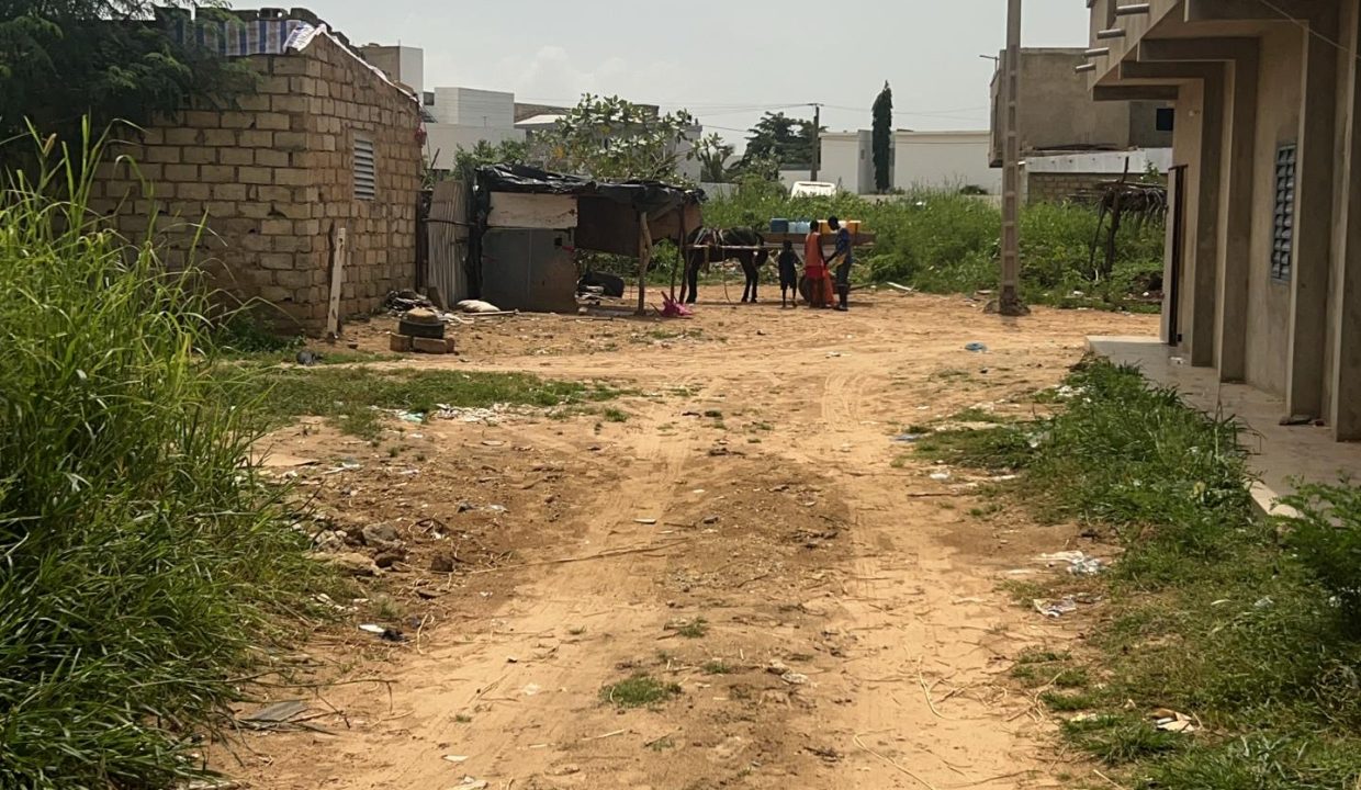 Terrain de 300m2 à Saly jo 03