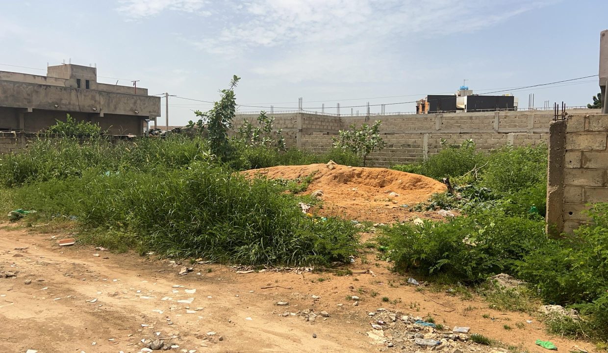 Terrain de 300m2 à Saly jo 04