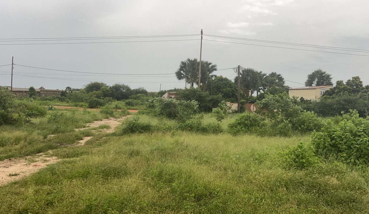Terrains 300m2 à Saly 02
