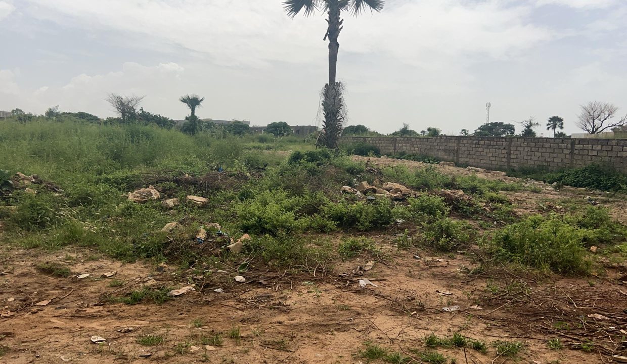 Terrains 300m2 à Saly 02